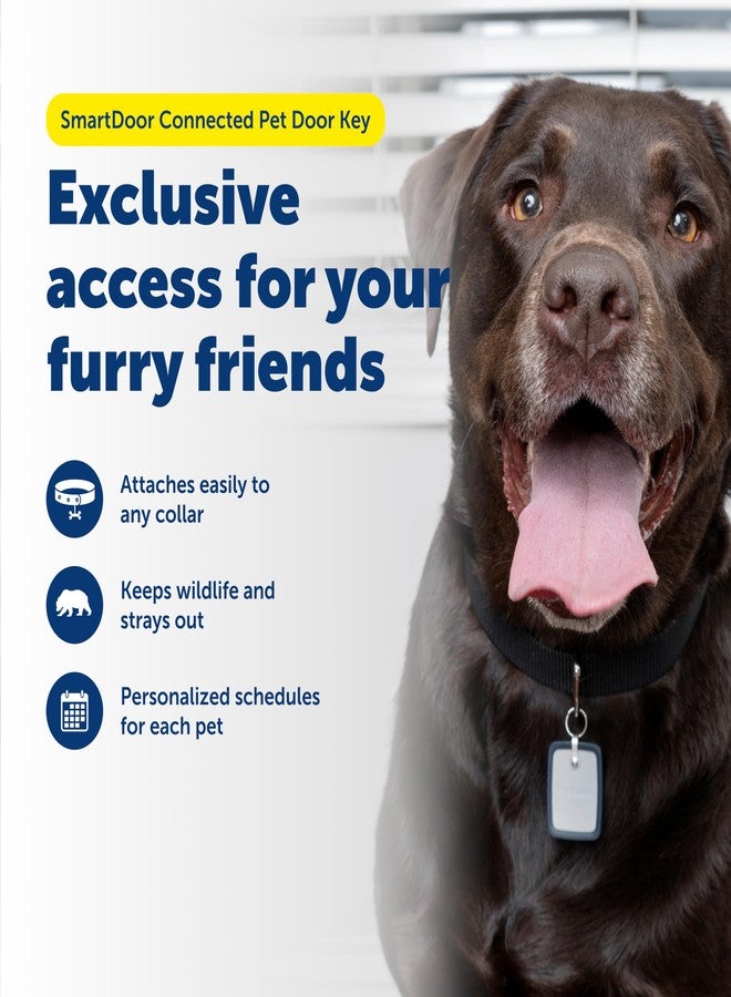 بيت سيف مفتاح باب الحيوانات الأليفة الذكي المتصل من PetSafe SmartDoor - يوفر وصولاً ذكياً وشخصياً لكلابك وقططك مع منع دخول الحيوانات الضالة والبرية - متوافق مع باب الحيوانات الأليفة الذكي المتصل من SmartDoor - كبير الحجم - Image 2